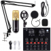 Bm800 microphone with v8 sound card